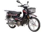 大陽 100型